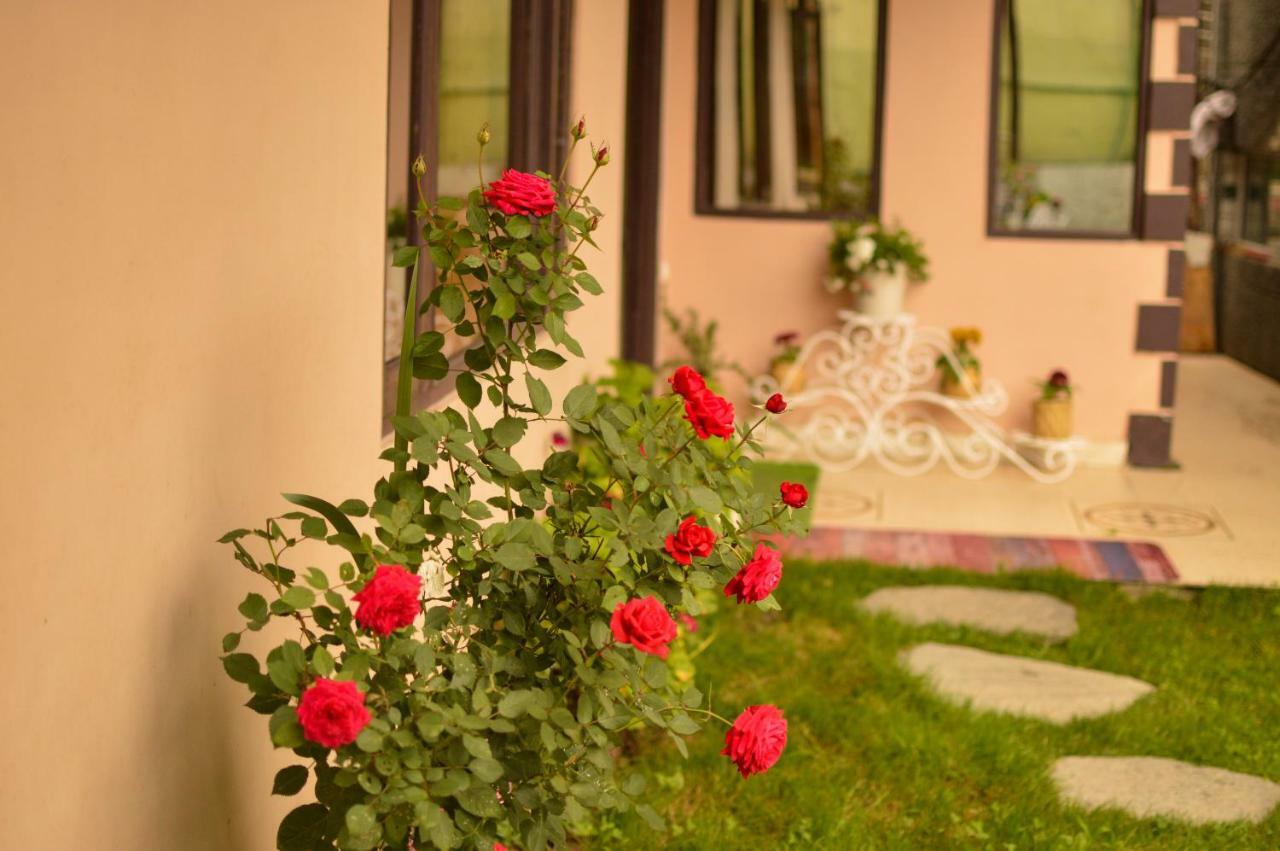 Hill House Manali -A Home In Mountains Exterior foto
